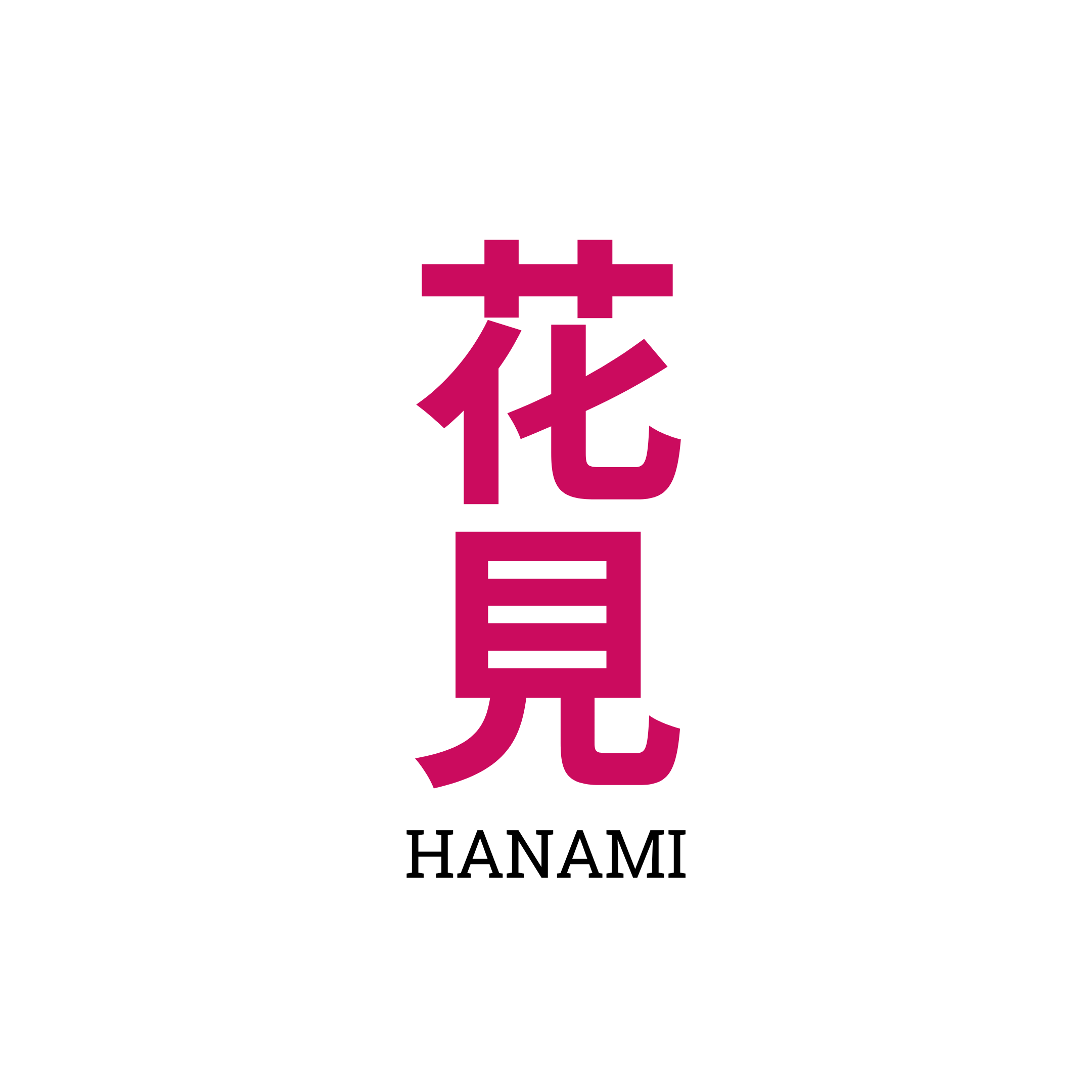 HANAMI 花見